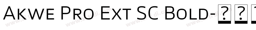 Akwe Pro Ext SC Bold字体转换